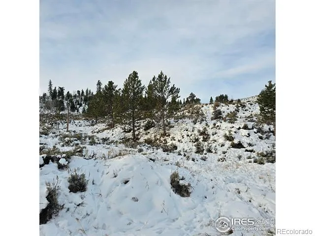 Roosevelt Hot Sulphur Springs, CO 80451