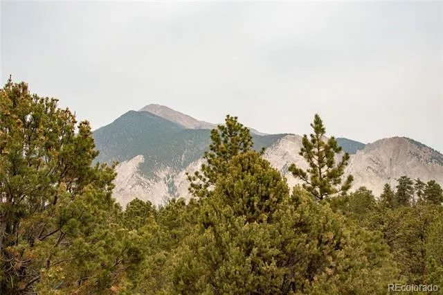 16090 Falcon Drive Nathrop, CO 81236
