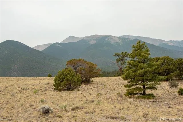 16090 Falcon Drive Nathrop, CO 81236