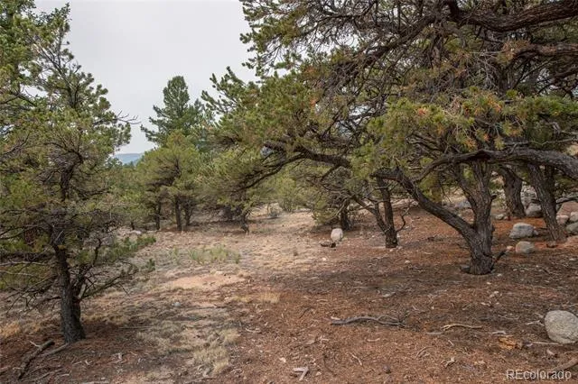 16090 Falcon Drive Nathrop, CO 81236