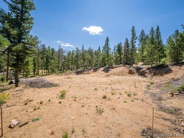78 Kikima Court Red Feather Lakes, CO 80545