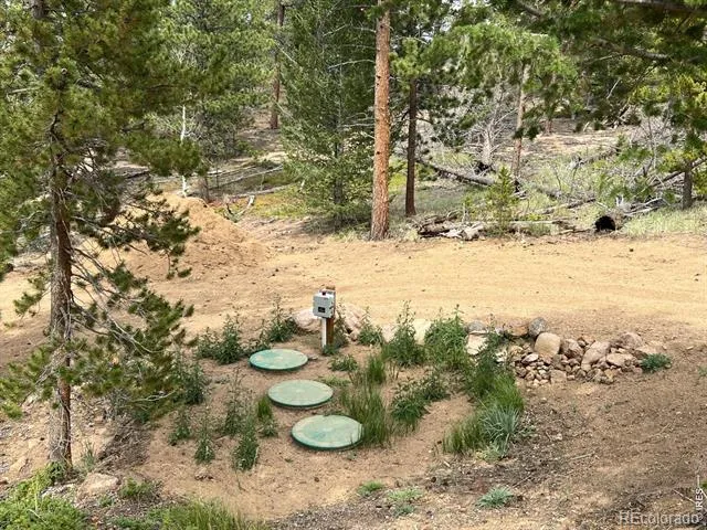 78 Kikima Court Red Feather Lakes, CO 80545