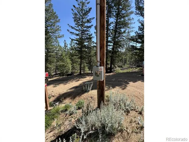 78 Kikima Court Red Feather Lakes, CO 80545