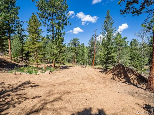 78 Kikima Court Red Feather Lakes, CO 80545