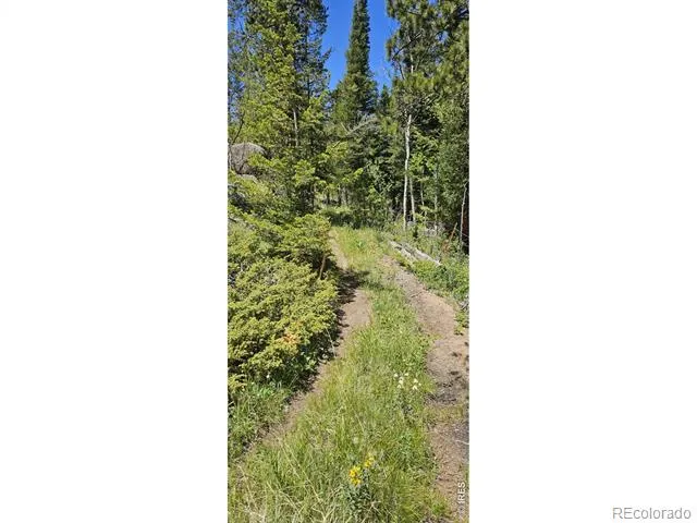 78 Kikima Court Red Feather Lakes, CO 80545
