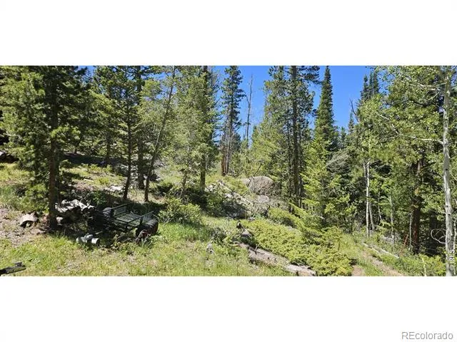 78 Kikima Court Red Feather Lakes, CO 80545
