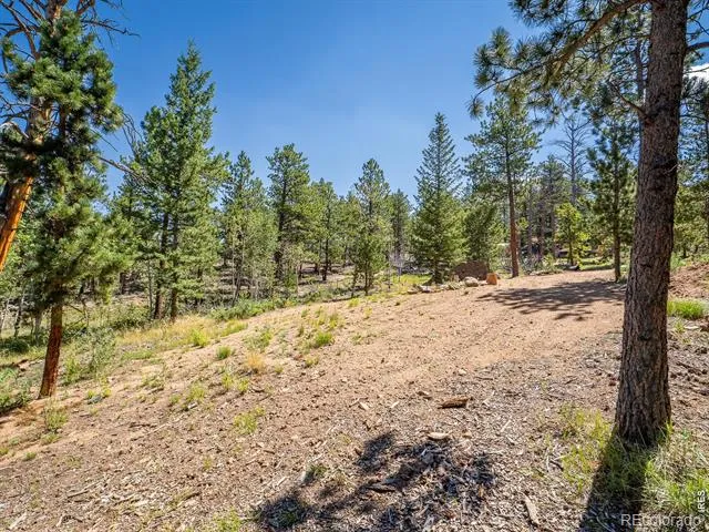 78 Kikima Court Red Feather Lakes, CO 80545