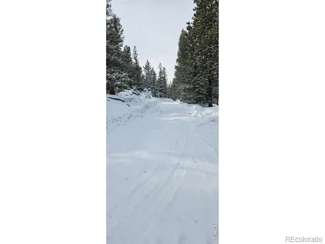 78 Kikima Court Red Feather Lakes, CO 80545