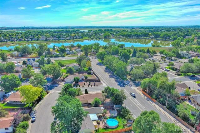 1166 White Elm Drive Loveland, CO 80538