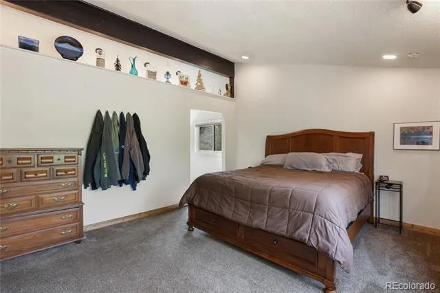 45 Barr Lake Circle Divide, CO 80814