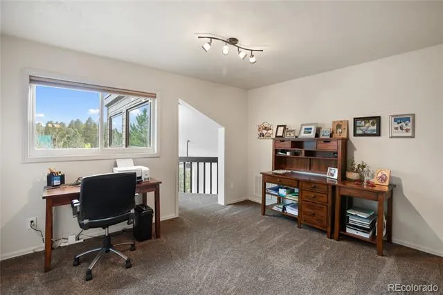 45 Barr Lake Circle Divide, CO 80814