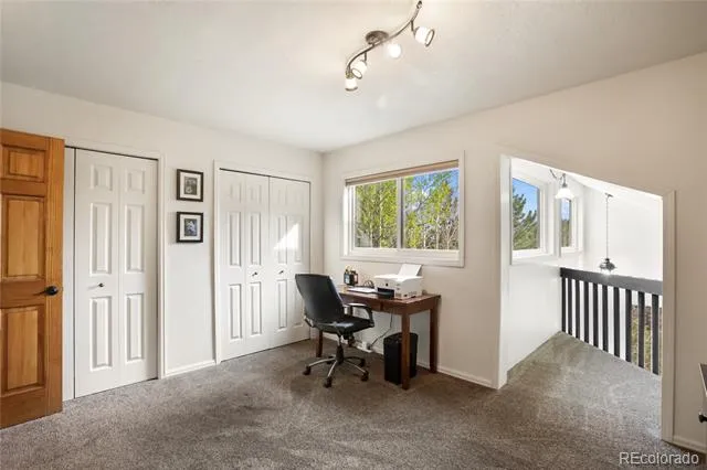45 Barr Lake Circle Divide, CO 80814