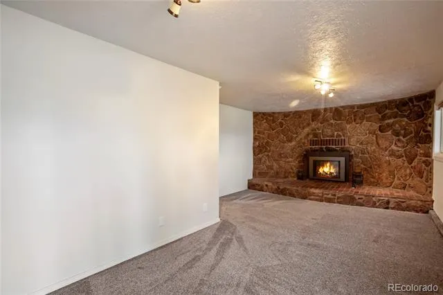 45 Barr Lake Circle Divide, CO 80814