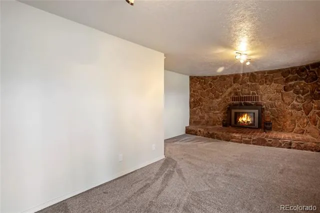 45 Barr Lake Circle Divide, CO 80814