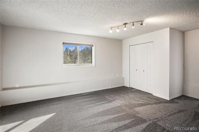 45 Barr Lake Circle Divide, CO 80814