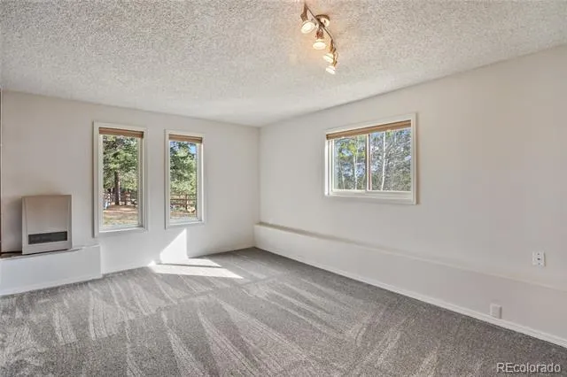 45 Barr Lake Circle Divide, CO 80814