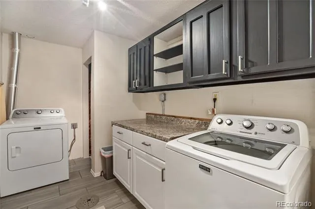 45 Barr Lake Circle Divide, CO 80814