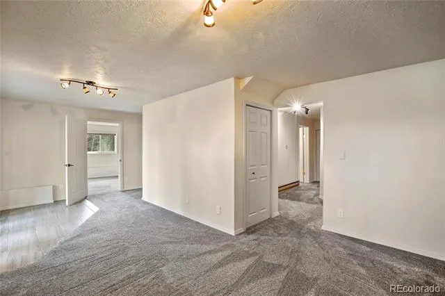 45 Barr Lake Circle Divide, CO 80814