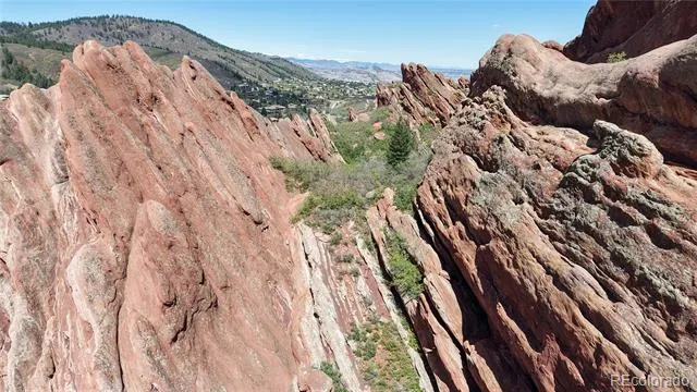 4797 Ponderosa Trail Littleton, CO 80125