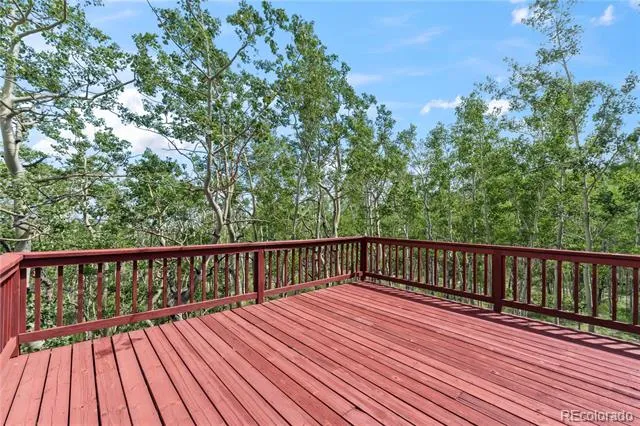 56 Sheep Ridge Road Fairplay, CO 80440