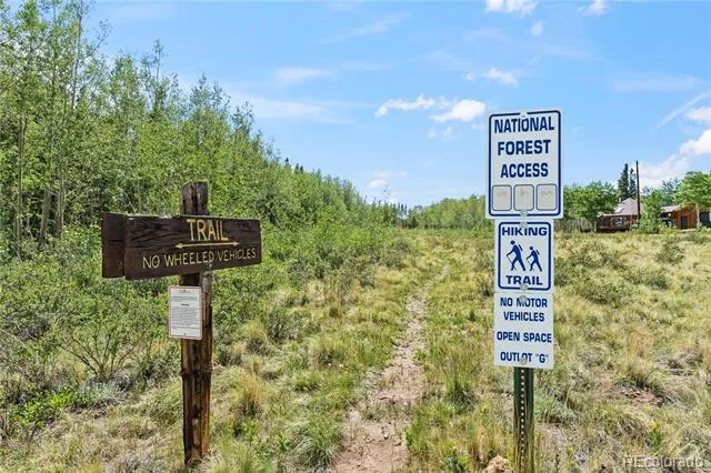 56 Sheep Ridge Road Fairplay, CO 80440