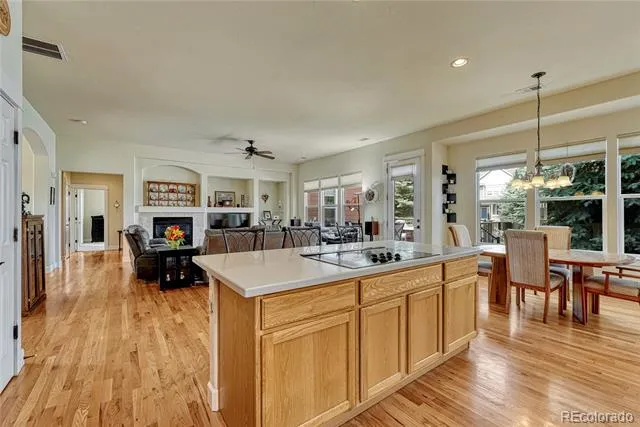 5302 Danvers Court Castle Rock, CO 80104