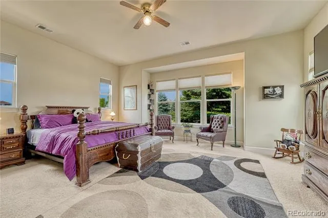 5302 Danvers Court Castle Rock, CO 80104