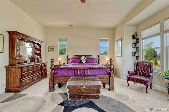 5302 Danvers Court Castle Rock, CO 80104