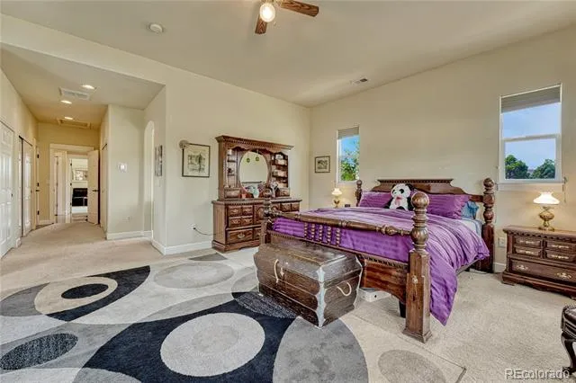 5302 Danvers Court Castle Rock, CO 80104