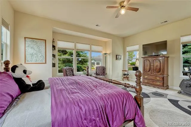 5302 Danvers Court Castle Rock, CO 80104