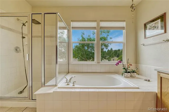 5302 Danvers Court Castle Rock, CO 80104