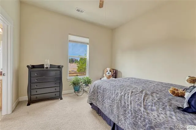 5302 Danvers Court Castle Rock, CO 80104