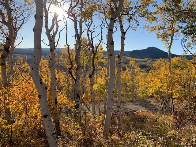 884 County Road 283 Kremmling, CO 80459