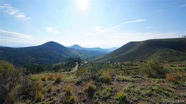 15831 S Sioux Road Pine, CO 80470