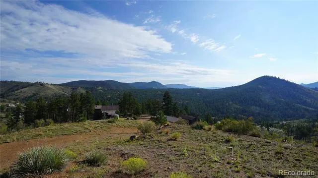 15831 S Sioux Road Pine, CO 80470