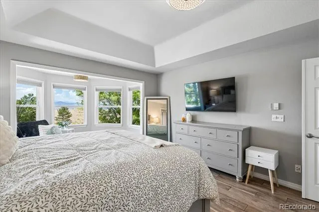 10197 Briargrove Way Highlands Ranch, CO 80126