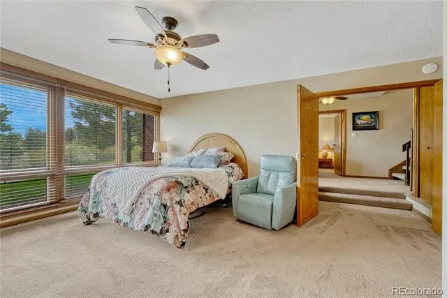 4507 Juniper Court Larkspur, CO 80118
