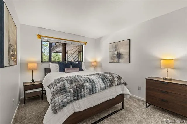 315 S 2nd Avenue #105 Frisco, CO 80443