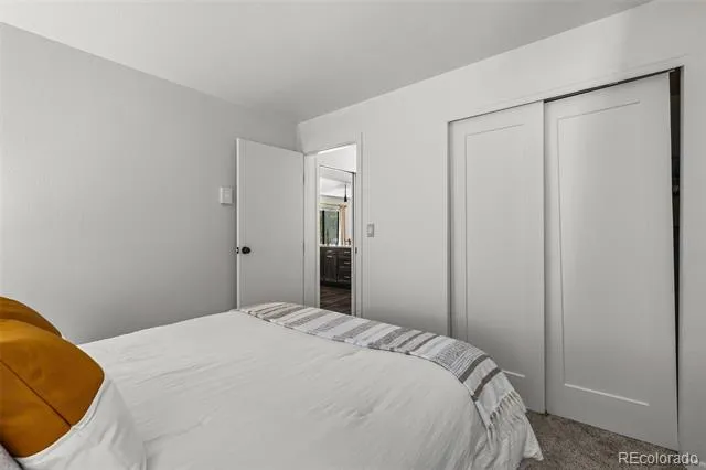 315 S 2nd Avenue #105 Frisco, CO 80443