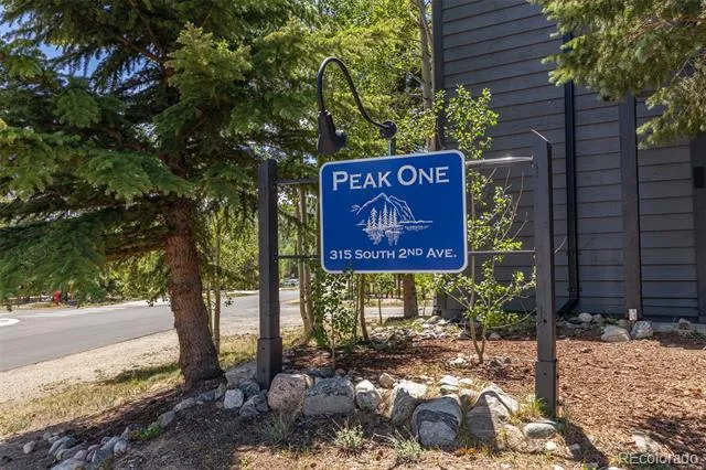 315 S 2nd Avenue #105 Frisco, CO 80443