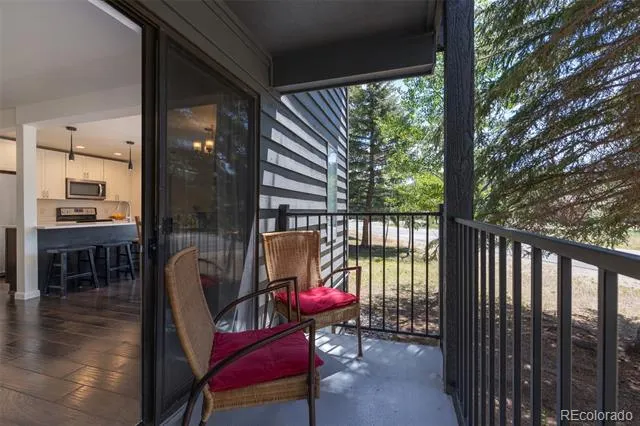 315 S 2nd Avenue #105 Frisco, CO 80443