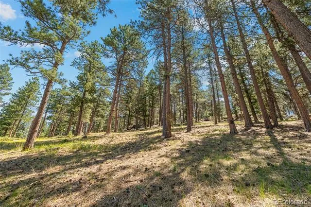 7390 Monica Lane Evergreen, CO 80439