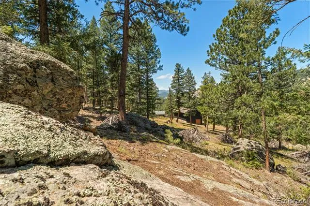 7390 Monica Lane Evergreen, CO 80439