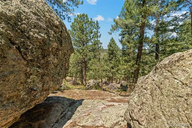 7390 Monica Lane Evergreen, CO 80439