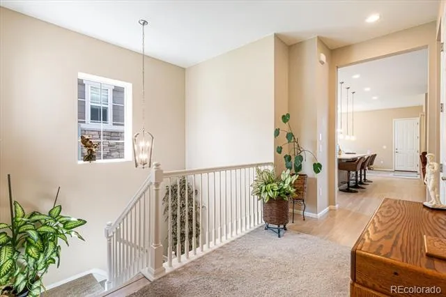 1048 Brocade Drive Highlands Ranch, CO 80126