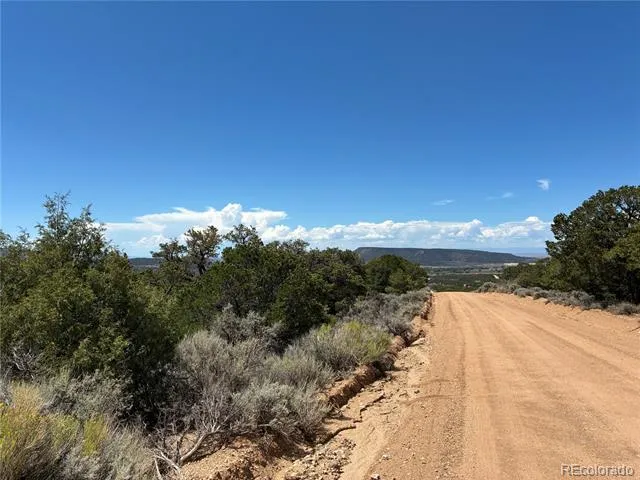 LOT 7180 FREYLINGHUYSEN Fort Garland, CO 81133