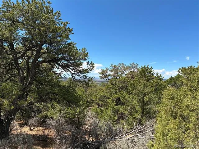 LOT 7180 FREYLINGHUYSEN Fort Garland, CO 81133