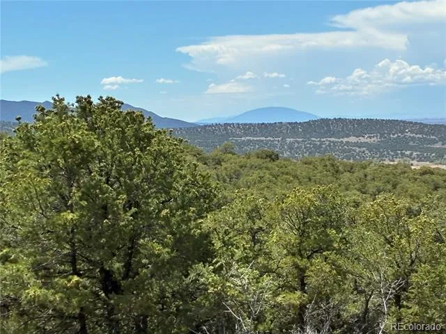 LOT 7180 FREYLINGHUYSEN Fort Garland, CO 81133