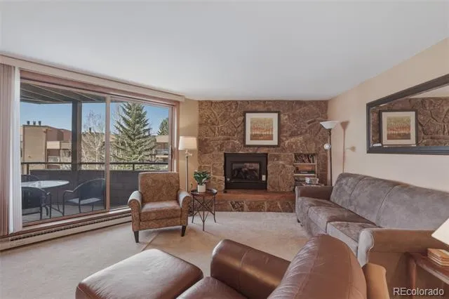 200 E La Bonte Street #223 Dillon, CO 80435