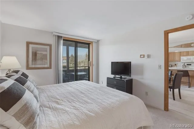 200 E La Bonte Street #223 Dillon, CO 80435